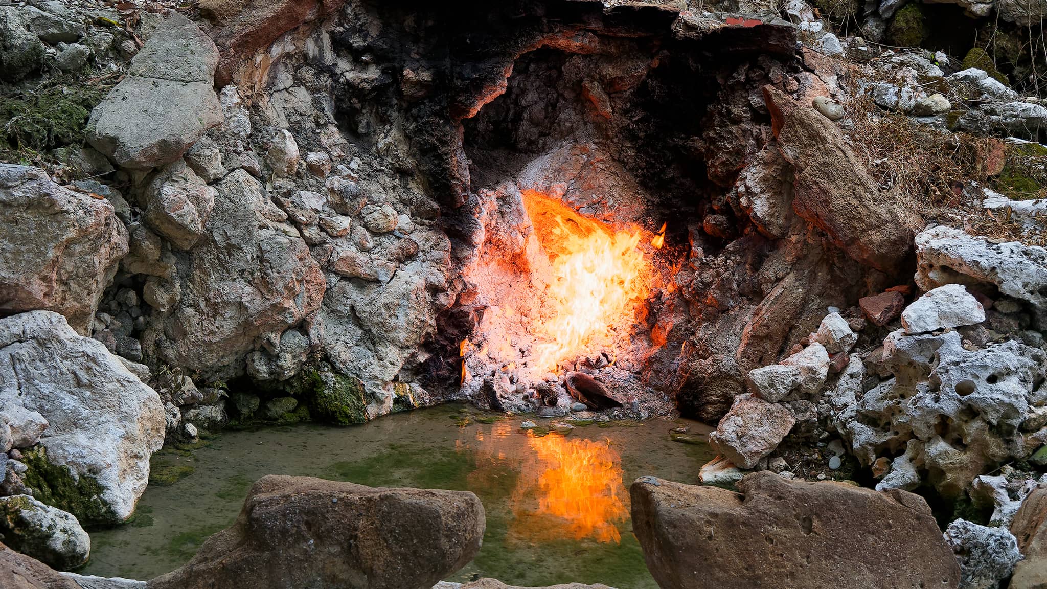 05 - Alishan (15).jpg